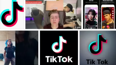tiktok-filigransız-video-indir